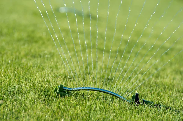 Water sprinkler — Stock Photo, Image