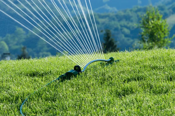 Víz sprinkler — Stock Fotó