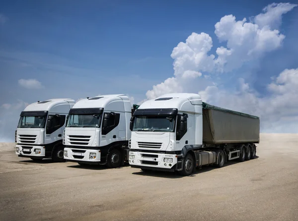 Camions blancs garés — Photo