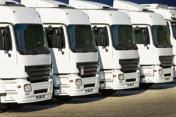 Camiones blancos estacionados — Foto de Stock