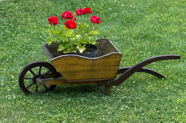 Gartendekoration — Stockfoto