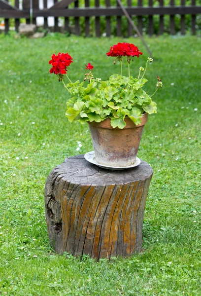 Gartendekoration — Stockfoto