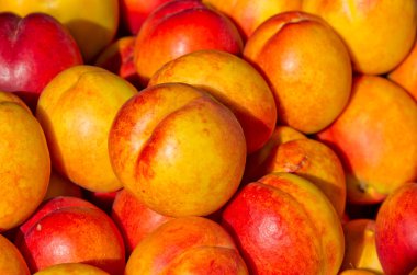 yığın üzerinde kuru soğan