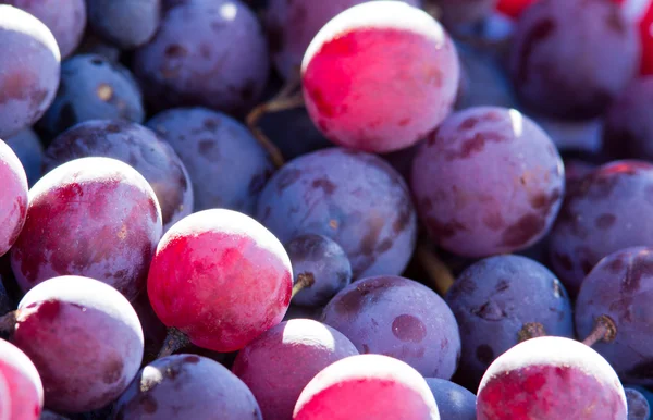 Uvas vermelhas — Fotografia de Stock