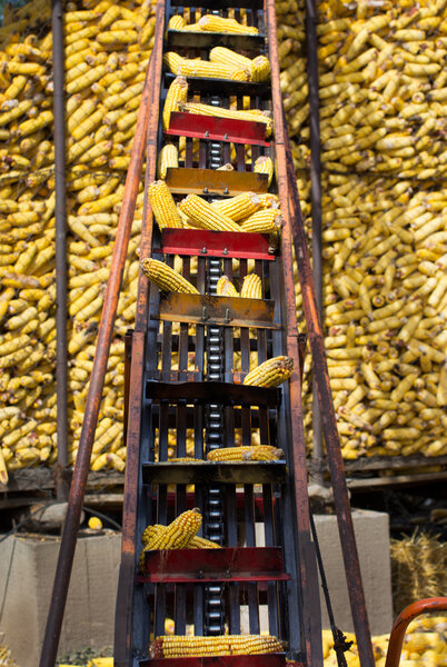 Corncob elevator