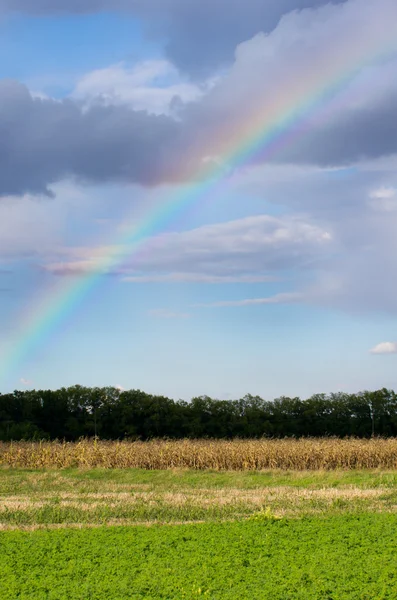 Arc-en-ciel sur ciel — Photo