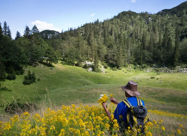 Человек с травами в горах — стоковое фото