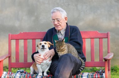 İhtiyar köpek ve kedi ile