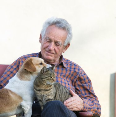 İhtiyar köpek ve kedi ile