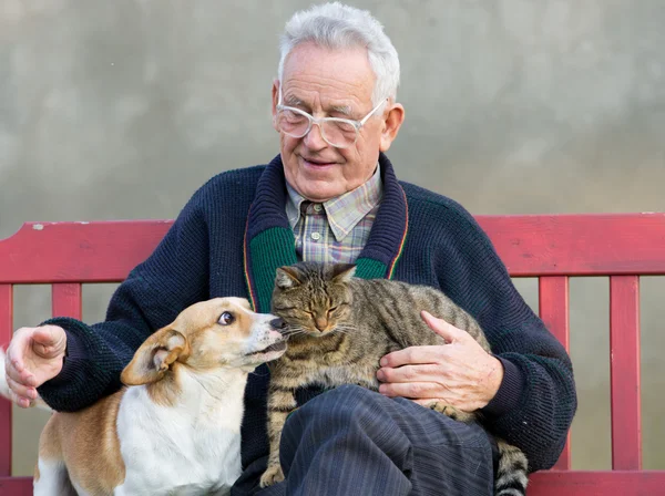 Bătrân cu câine şi pisică — Fotografie, imagine de stoc