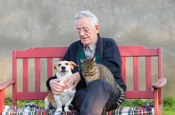 Stary człowiek z psów i kotów — Zdjęcie stockowe