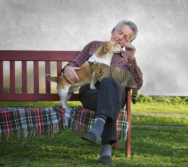 Gammal man med hund och katt — Stockfoto