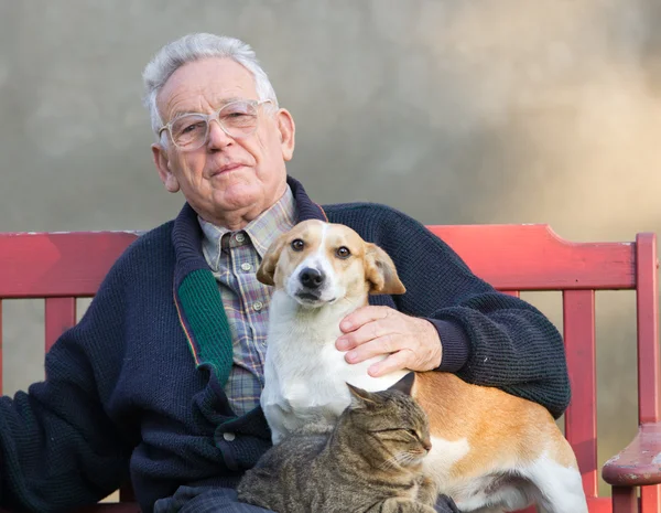 Vecchio con cane e gatto Immagine Stock