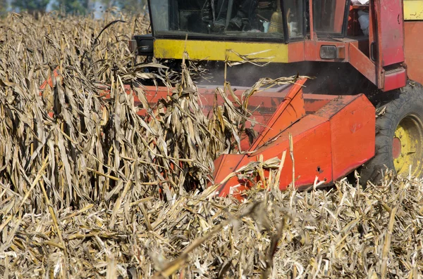 Combinar a colheita de milho — Fotografia de Stock
