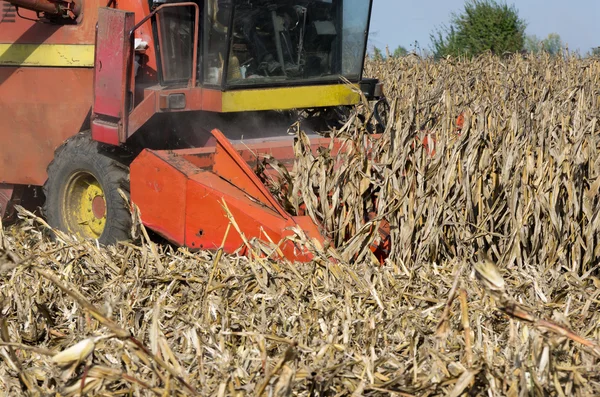 Combinar a colheita de milho — Fotografia de Stock