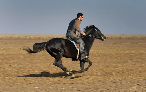 Человек на коне — стоковое фото