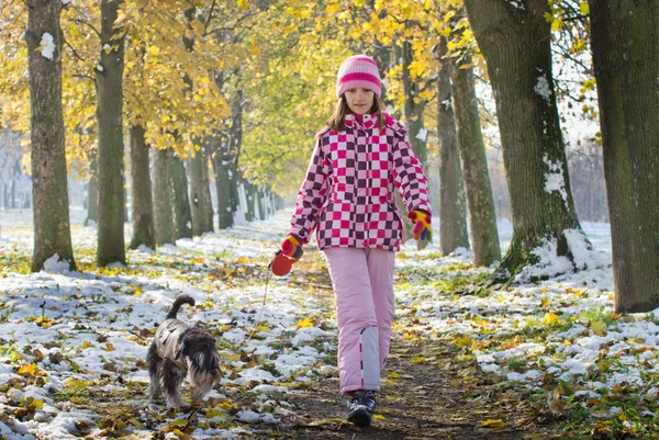 Mädchen und Hunde spazieren — Stockfoto