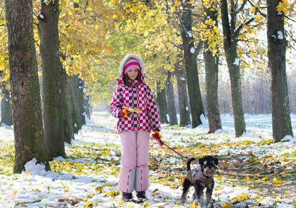 Dziewczyna i pies pieszo — Zdjęcie stockowe