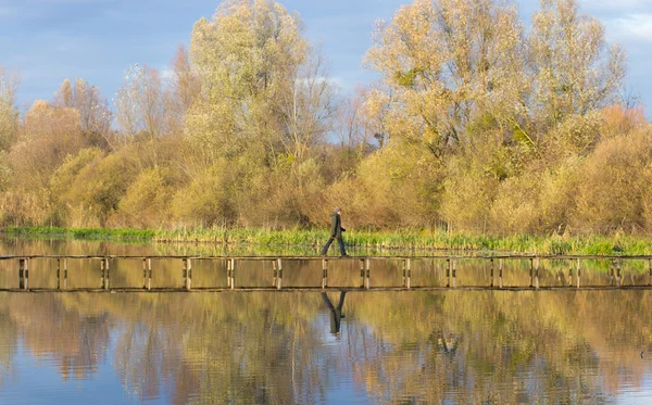 Man walking on dock — Stock Photo, Image