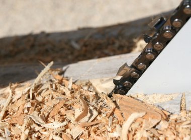 talaş ve chainsaw