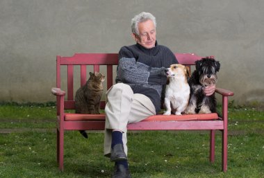 Komuta sizde Hayvanlar grubu