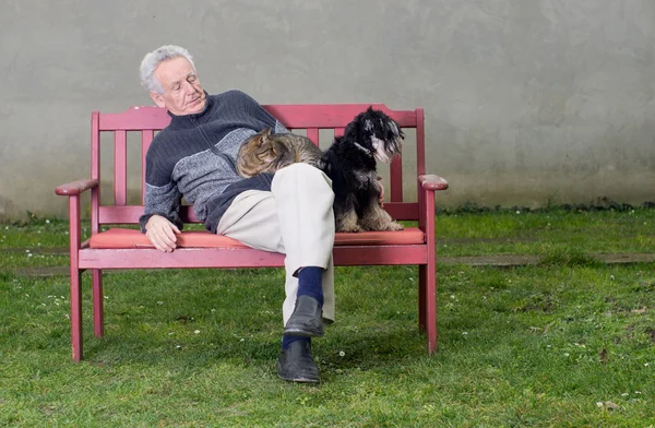 Старший мужчина с собакой и кошкой — стоковое фото