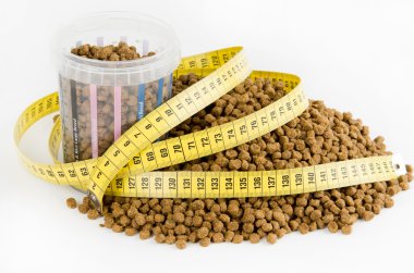 Measured dose of food for dog clipart