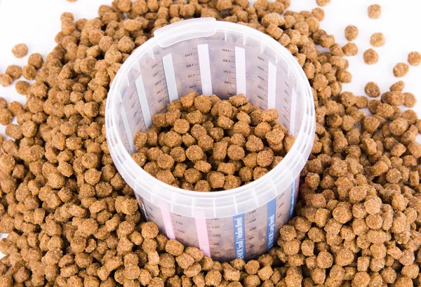 개를 위해 식품의 복용량을 측정 — 스톡 사진
