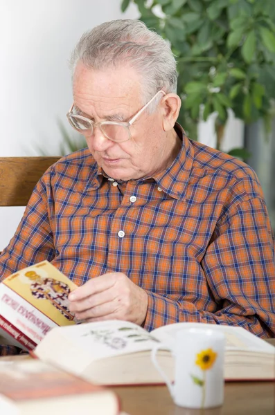 Reading book — Stock Photo, Image