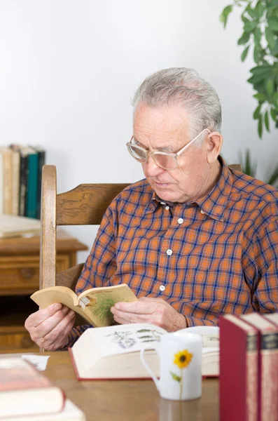 Libro de lectura — Foto de Stock