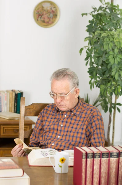 Libro di lettura — Foto Stock