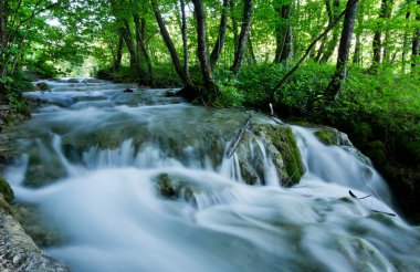 Plitvice şelaleler