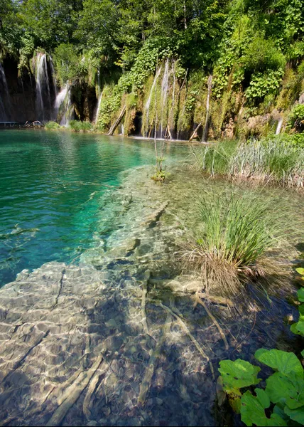 Plitvice lakes — Stock Photo, Image