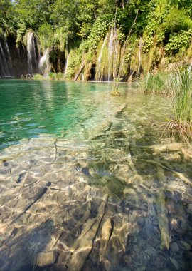 plitvice şelaleler