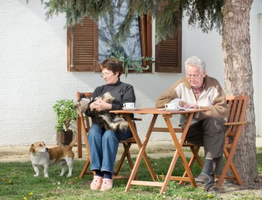 üst düzey köpek çiftle