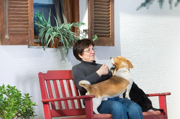 Senior woman with dogs — Stock Photo, Image