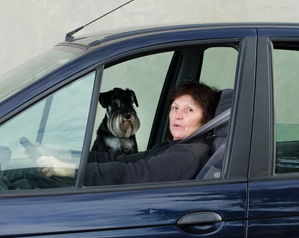 Donna e cane in macchina — Foto Stock