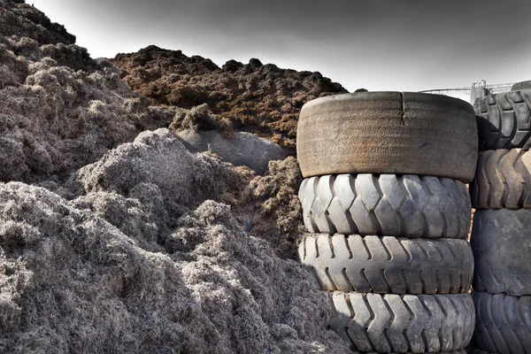 轮胎回收行业 — 图库照片