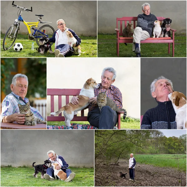 Old man with pets — Stock Photo, Image