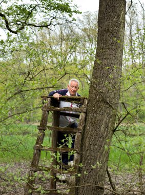 orman olarak çalışma