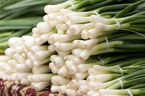Spring onion on sale — Stock Photo, Image