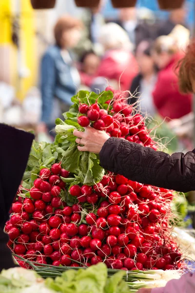 Köpa rädisor — Stockfoto