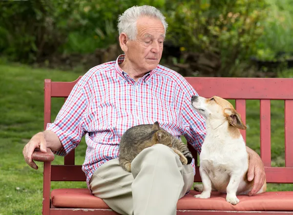 Homme âgé avec des animaux domestiques — Photo