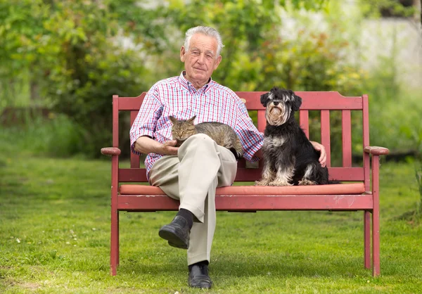 Hombre mayor con mascotas — Foto de Stock