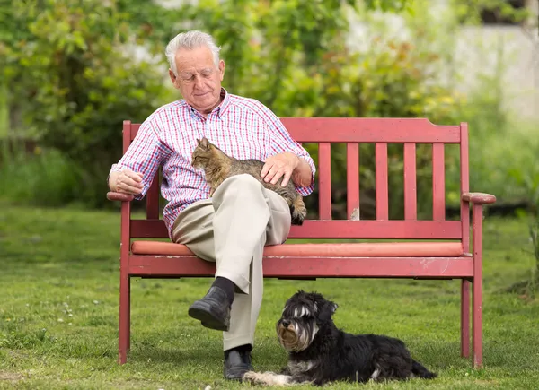 Uomo anziano con cani — Foto Stock