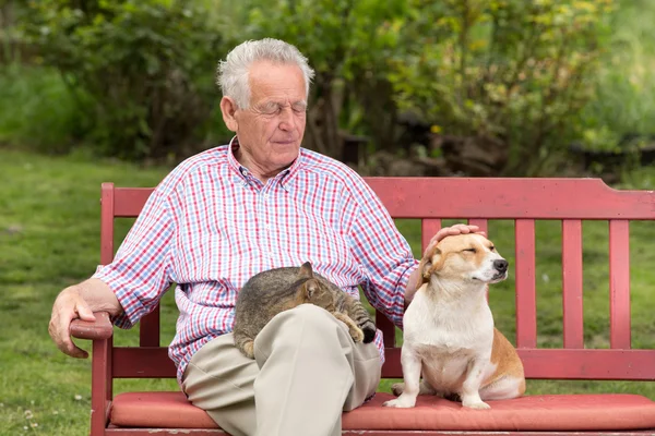 Senior man with pets — Stock Photo, Image