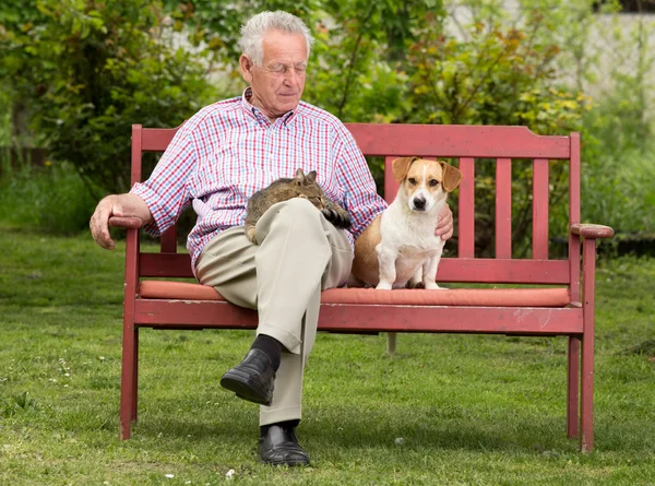 Senior man met huisdieren — Stockfoto