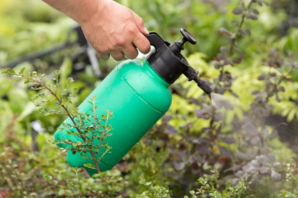 Watering garden — Stock Photo, Image