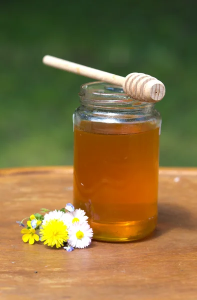Мед с деревянной палочкой — стоковое фото