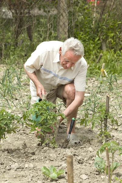 Werken in de tuin — Stockfoto